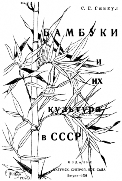 Бамбуки и их культура в СССР
