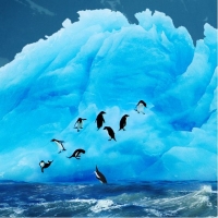 Чарующие айсберги Антарктиды